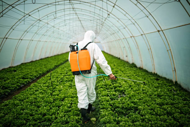 Best Mosquito Control Services  in Port Orchard, WA