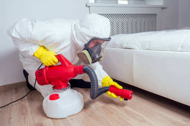 Best Insect Control  in Port Orchard, WA