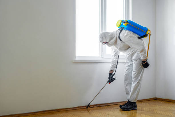 Best Pest Removal Services  in Port Orchard, WA