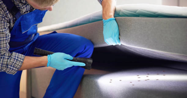 Best Termite Control Services  in Port Orchard, WA