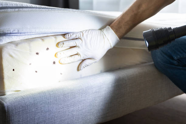 Best Pest Prevention Services  in Port Orchard, WA