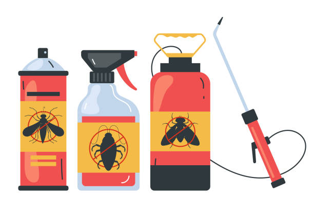 Trusted Port Orchard, WA Pest Control Experts