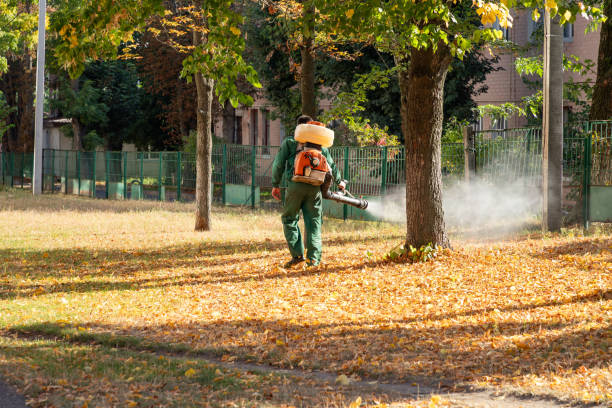 Best Pest Removal Services  in Port Orchard, WA