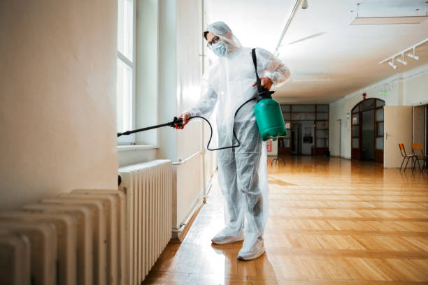Best Residential Pest Control  in Port Orchard, WA